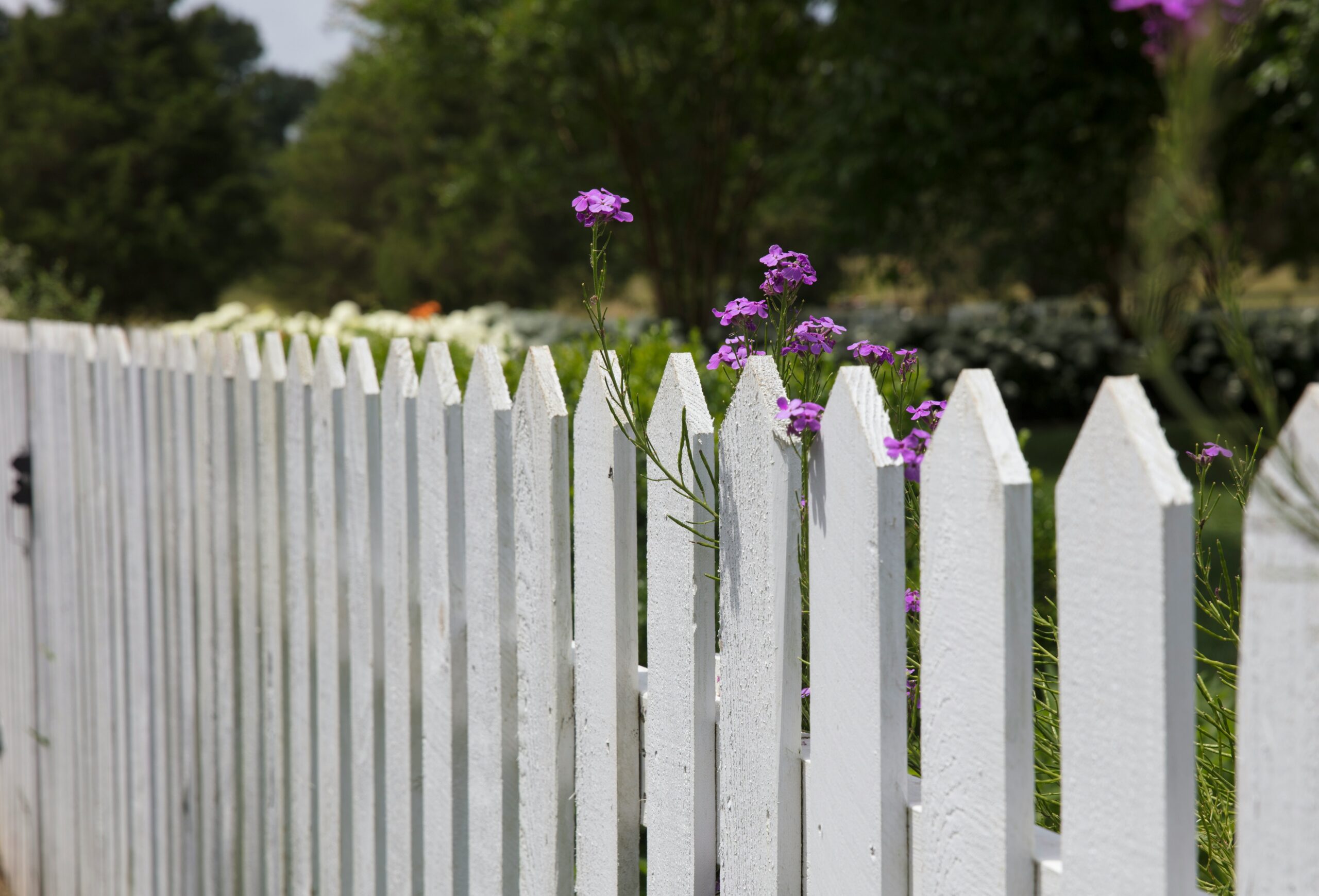White picket fence with wildflowers, illustrating private property boundaries